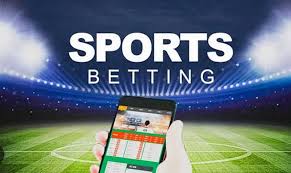 Discover the World of Betting with 1xBet