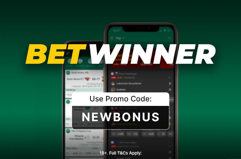 BetWinner Customer Support System Ensuring a Seamless Betting Experience