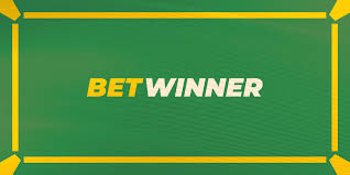 BetWinner Customer Support System Ensuring a Seamless Betting Experience