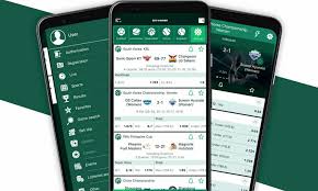 BetWinner Online Casino Your Ultimate Gaming Destination -841765558