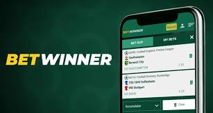 Comprehensive Review of BetWinner Casino and Sportsbook -836377401